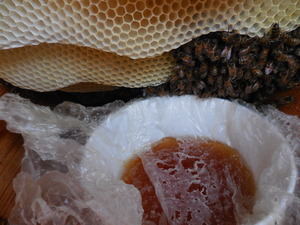 Honing voeren